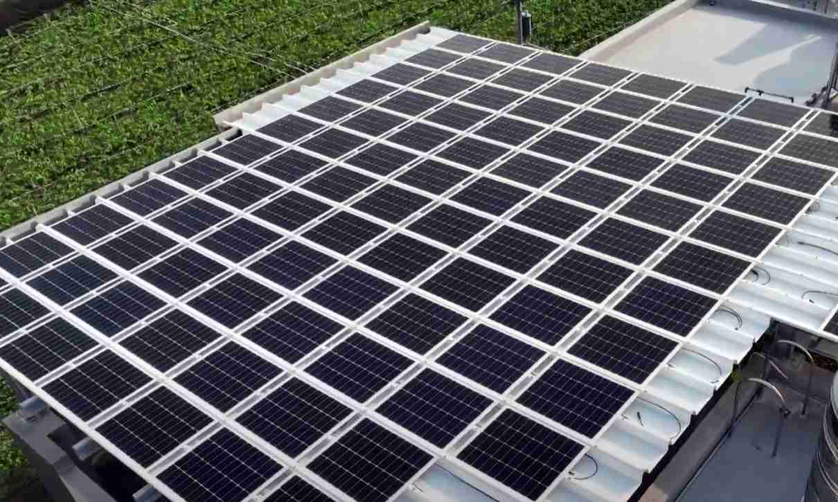 PA直营SunSteel光电浪板升级双玻结构，，以提升机械负载强度及气候耐候度，，，，可广泛运用于多元场域